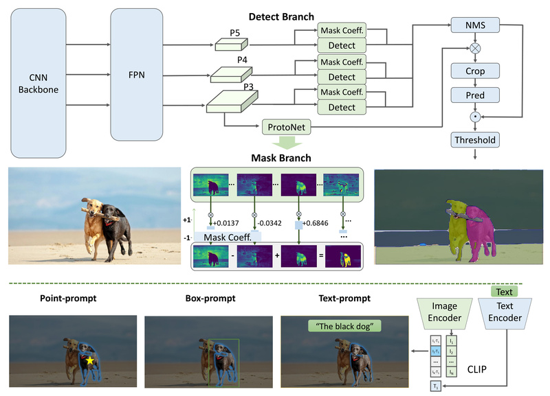 FastSAM: Real-Time Image Segmentation at 50x Speed Without Sacrificing Accuracy